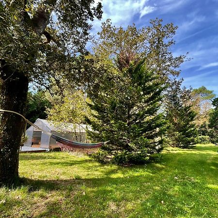 Cabane Au Milieu Des Pins - Domaine Temali Labouheyre Extérieur photo