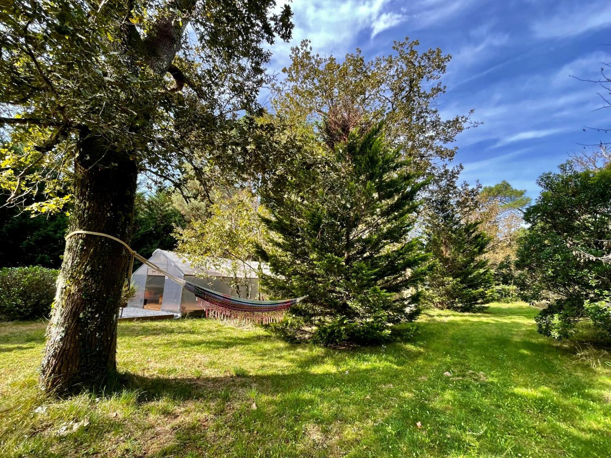 Cabane Au Milieu Des Pins - Domaine Temali Labouheyre Extérieur photo